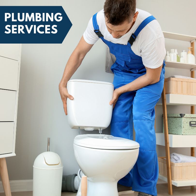 Plumbing Company in Ida, MI